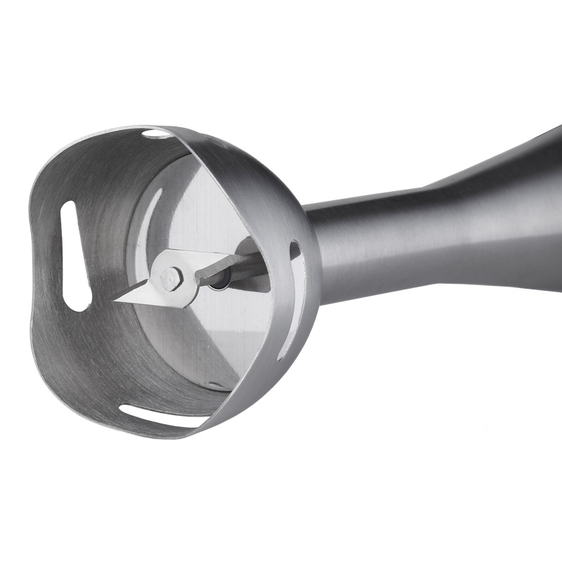 HM-708 Heimgebrauch GS CE RoHS LFGB CB ErP REACH zertifizierter Stabmixer zum Hacken, Schneiden, Schneiden von Obst und Gemüse